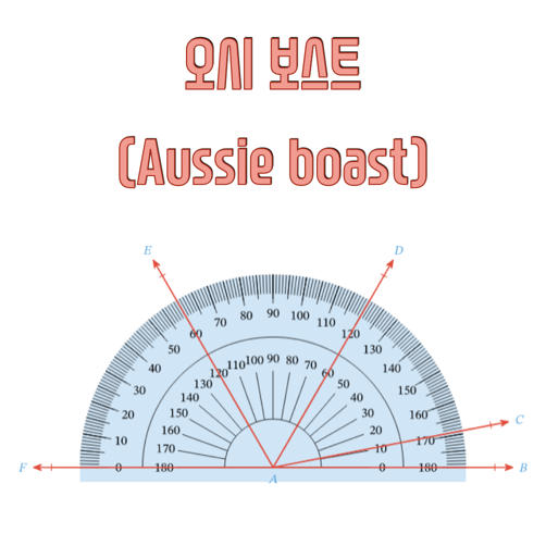 Aussie boast에 대해 알아보자