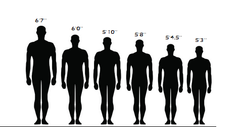 PSA 상위권 선수들의 평균키, 체중, BMI